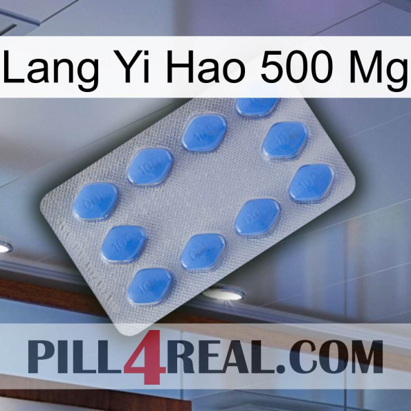 Lang Yi Hao 500 Mg 21.jpg